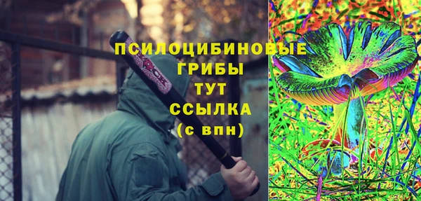 спиды Богородск