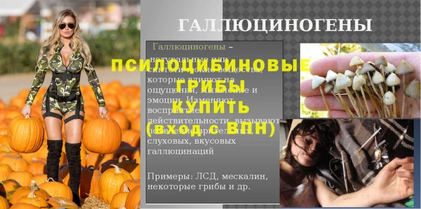 спиды Богородск