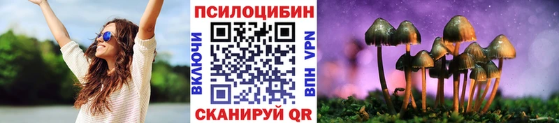 Галлюциногенные грибы Magic Shrooms  hydra зеркало  Михайловка  где купить  